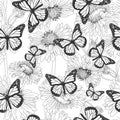 Seamless vector butterflies and chamomiles pattern